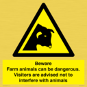 beware-farm-animals-can-be-dangerous-visitors-are-advised-not-to-interfere-with-~